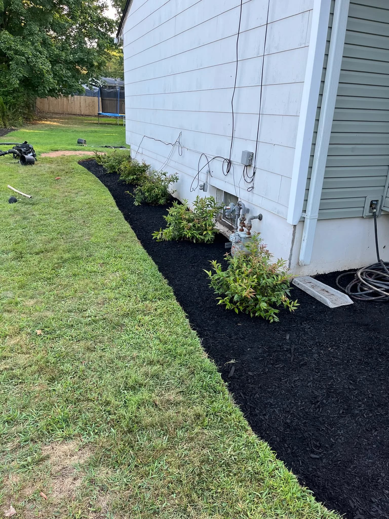 Fresh plantings along the side of a home