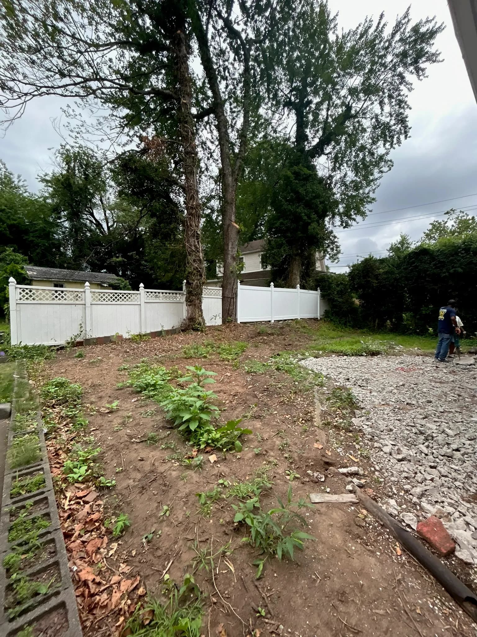 Backyard transformation, before and after — before