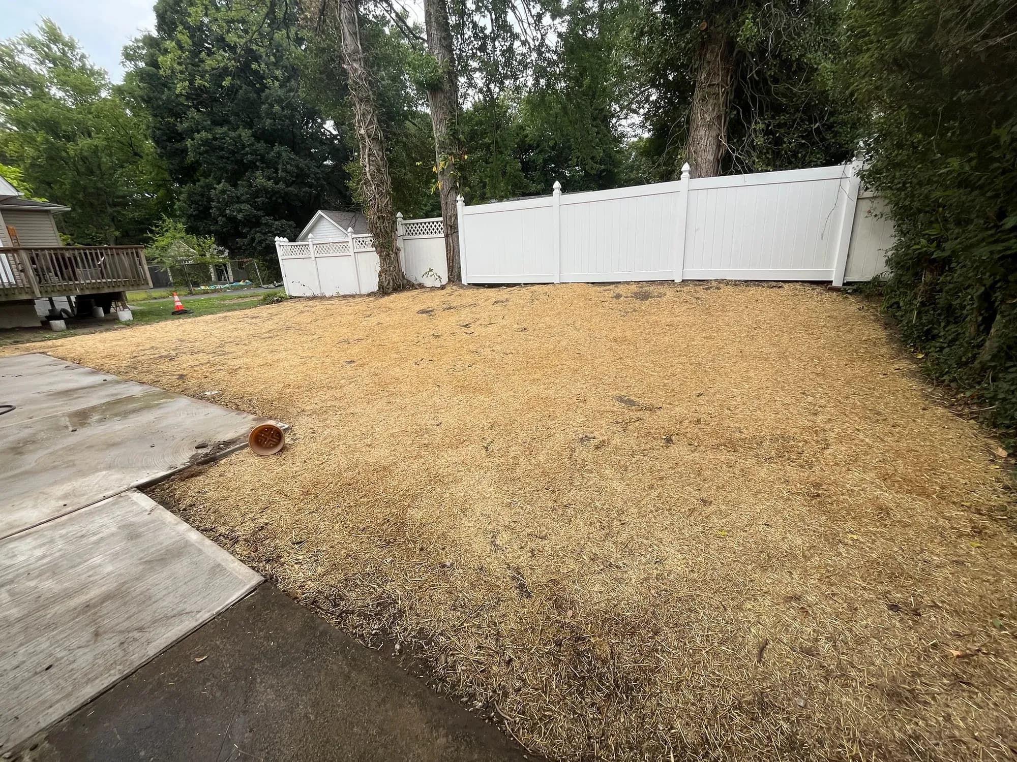Backyard transformation, before and after